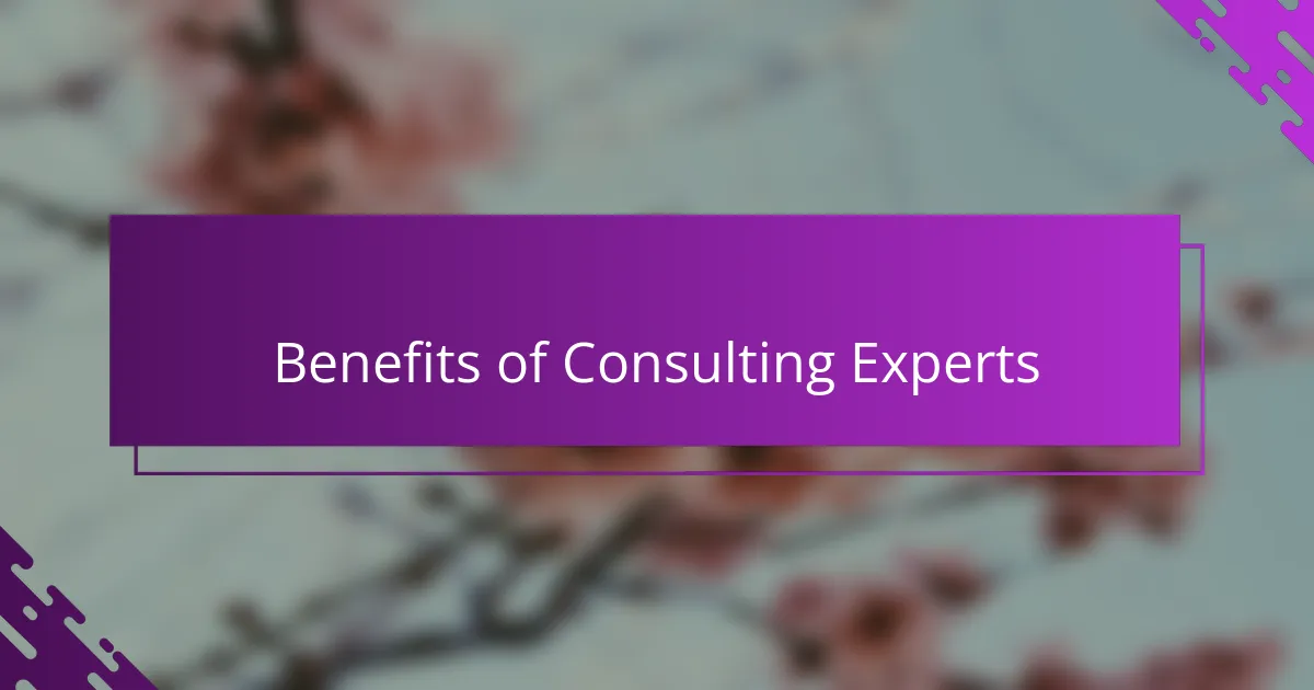 Benefits of Consulting Experts