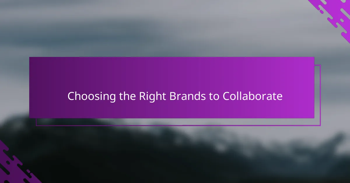 Choosing the Right Brands to Collaborate